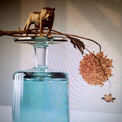 Beirut Gallipoli (Indie Exclusive) - Vinyl-Music History