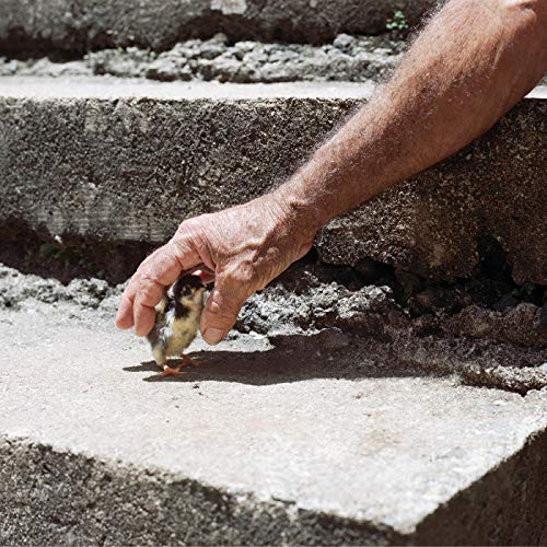 Big Thief Mythological Beauty ("CONCRETE" GRAY VINYL) - Vinyl-Music History
