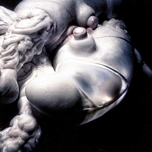 Bjork Arisen My Senses - Vinyl-Music History