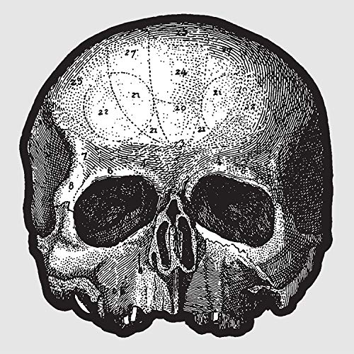 Black Label Society Black Pearl 10” (Die Cut Skull Pic Disc) - Vinyl-Music History