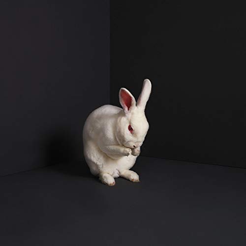 Brume Rabbits - Vinyl-Music History