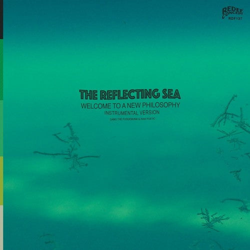 Damu the Fudgemunk & Raw Poetic Instrumentals From The Reflecting Sea (Green & Blue Vinyl) - Vinyl-Music History