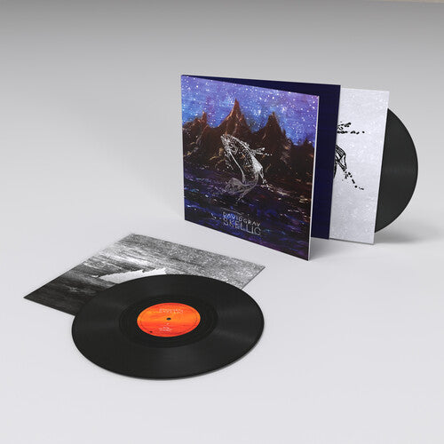 David Gray Skellig (Gatefold LP Jacket) (2 Lp's) - Vinyl-Music History
