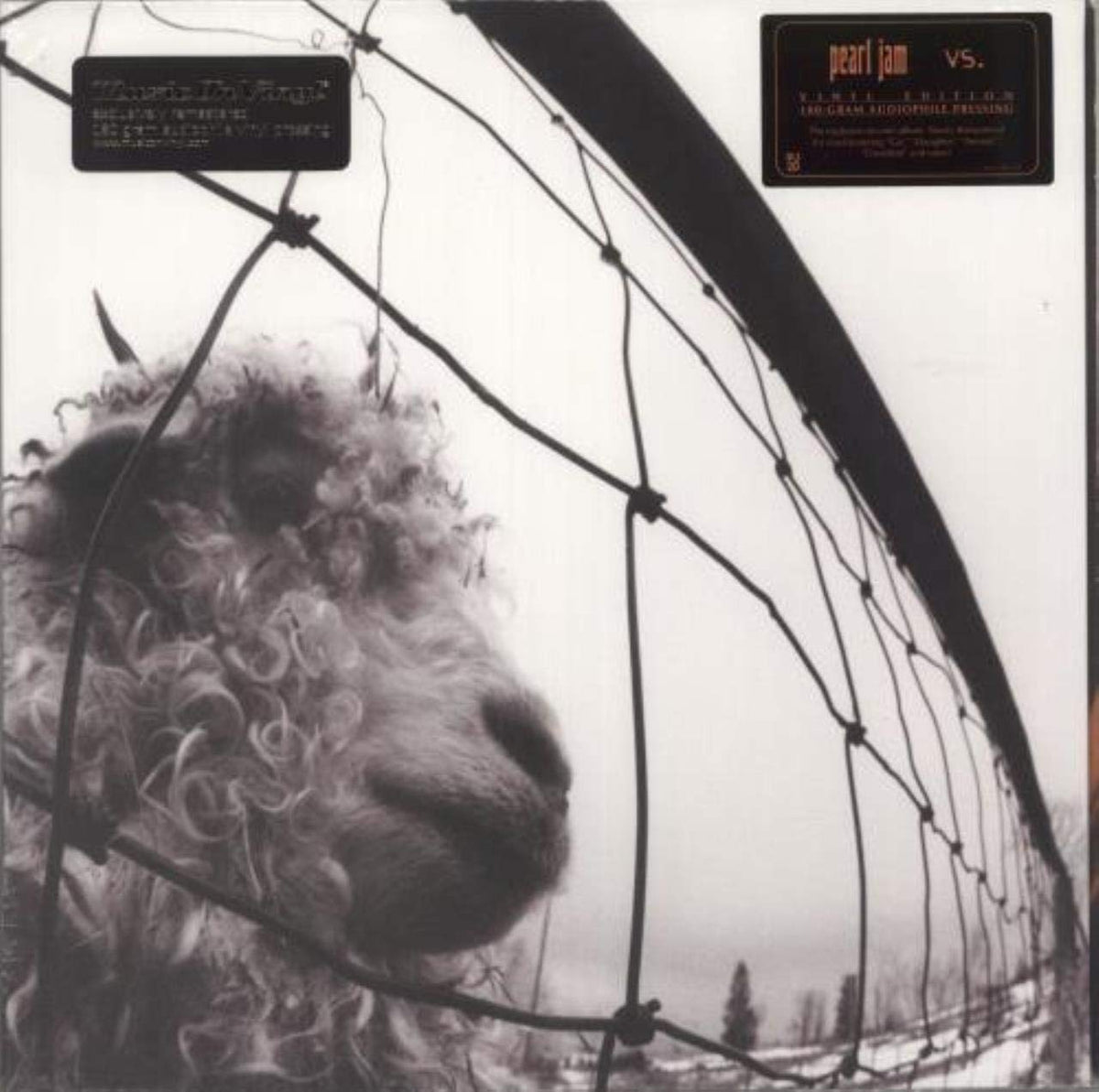 Pearl Jam: VS.-Music History