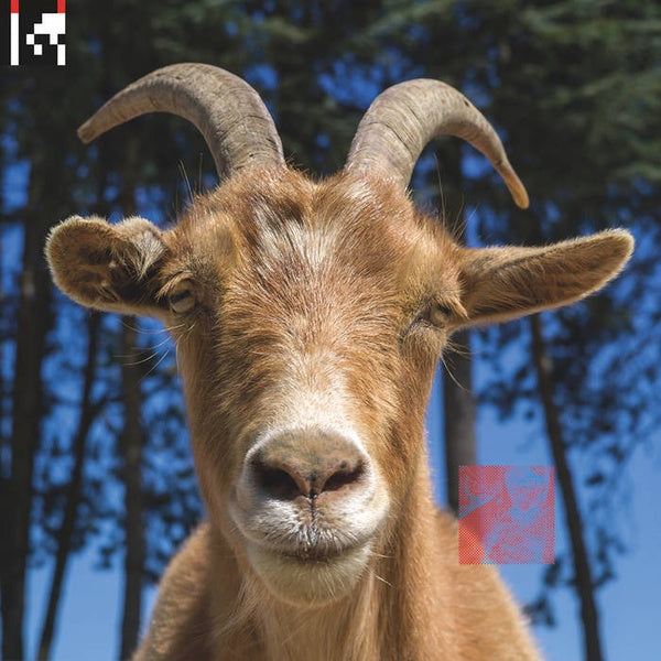 .dev (2xVINYL) |--Music History