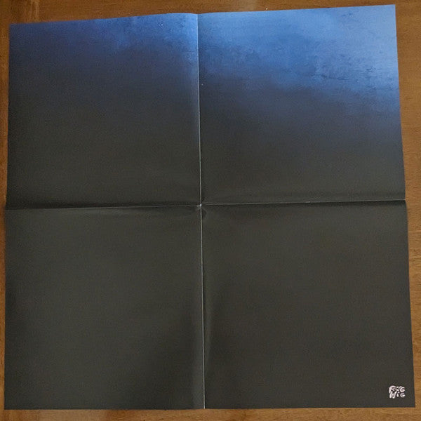 Devendra Banhart - Flying Wig (Ltd Blue Vinyl) | Mint (M) Mint (M)-Music History