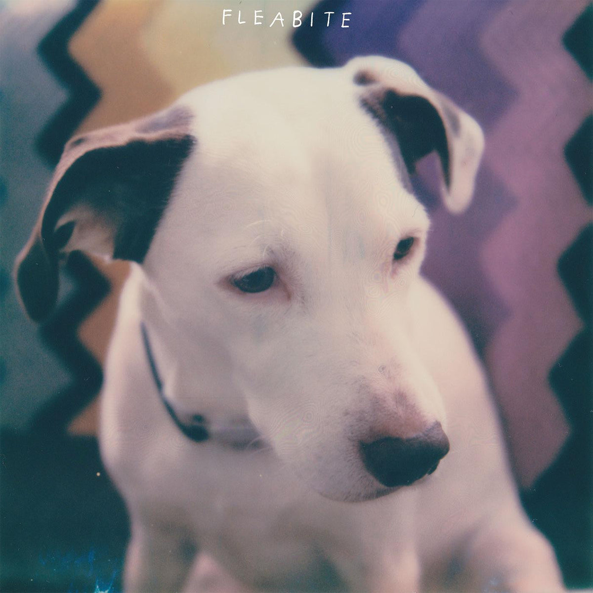 Fleabite - NVM (Vinyl) |-Music History