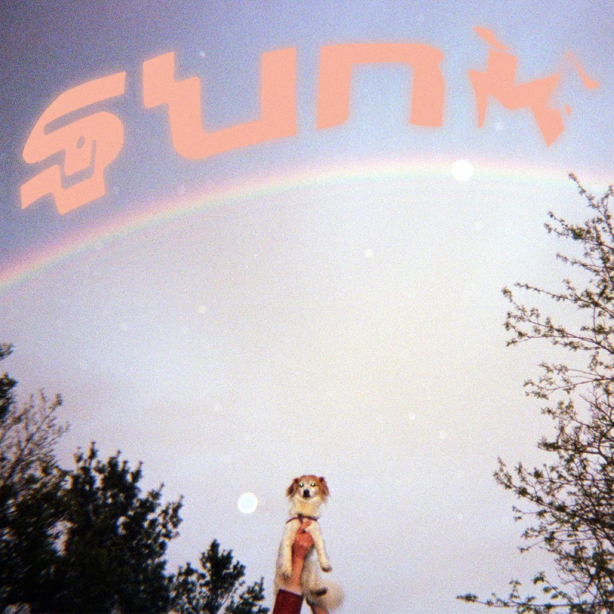 Babehoven - Sunk (CD) |-Music History