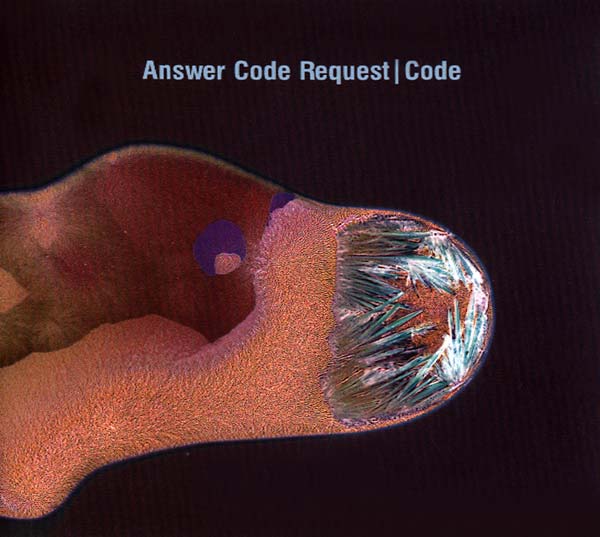 ANSWER CODE REQUEST - Code (CD Ostgut Ton OSTGUTCD31) |--Music History