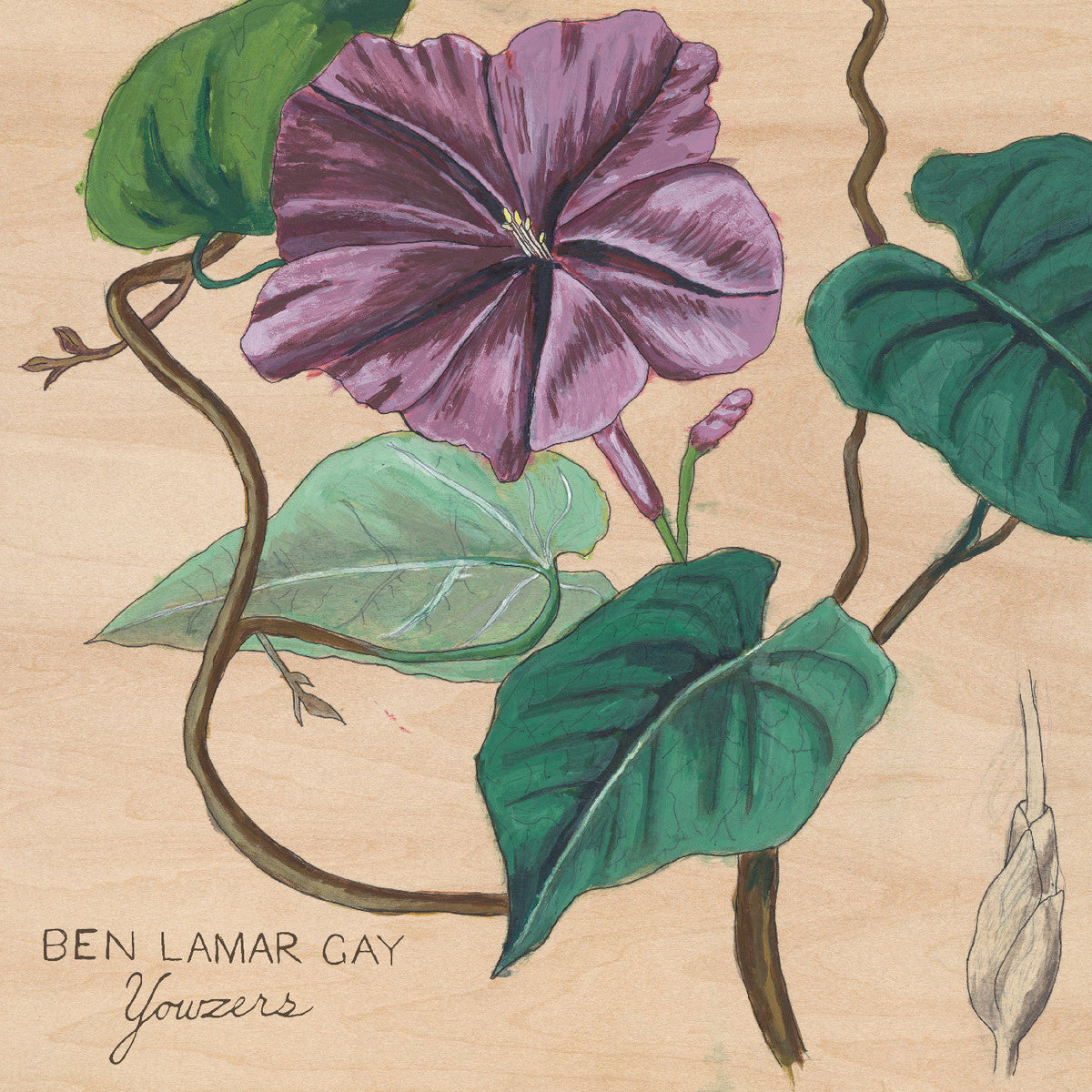 Ben LaMar Gay - Yowzers (CD) | Mint (M) Mint (M)-Music History