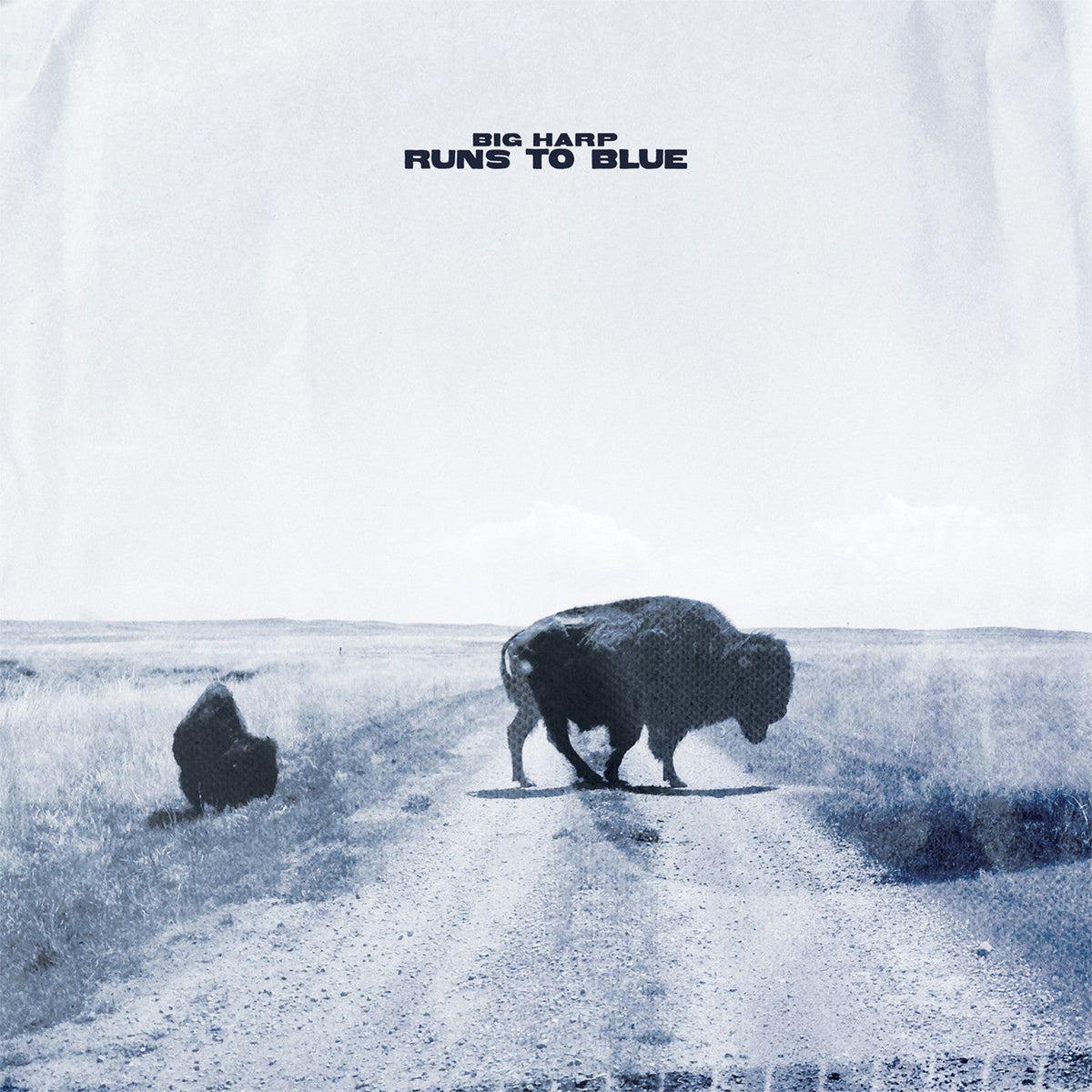 Big Harp Runs To Blue (Opaque Blue Vinyl) - Vinyl-Music History