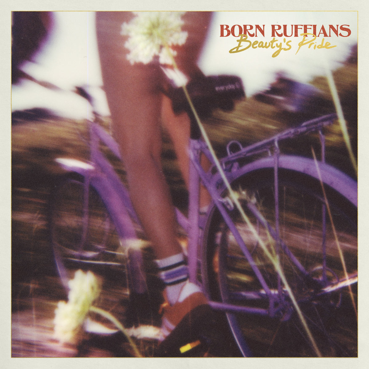 Born Ruffians - Beauty'S Pride (CD) | Mint (M) Mint (M)-Music History