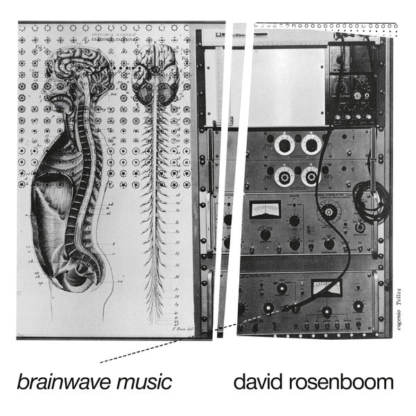 David Rosenboom - Brainwave Music |-Music History