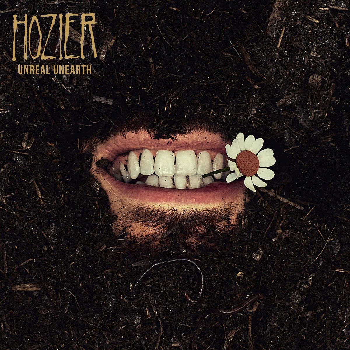Hozier - Unreal Unearth Unending (DELUXE | RAW OCHRE VINYL) | Mint (M) Mint (M)-Music History