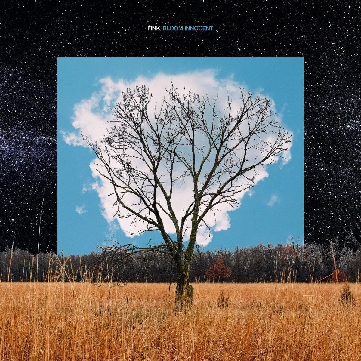 Fink - Bloom Innocent (CD) |-Music History