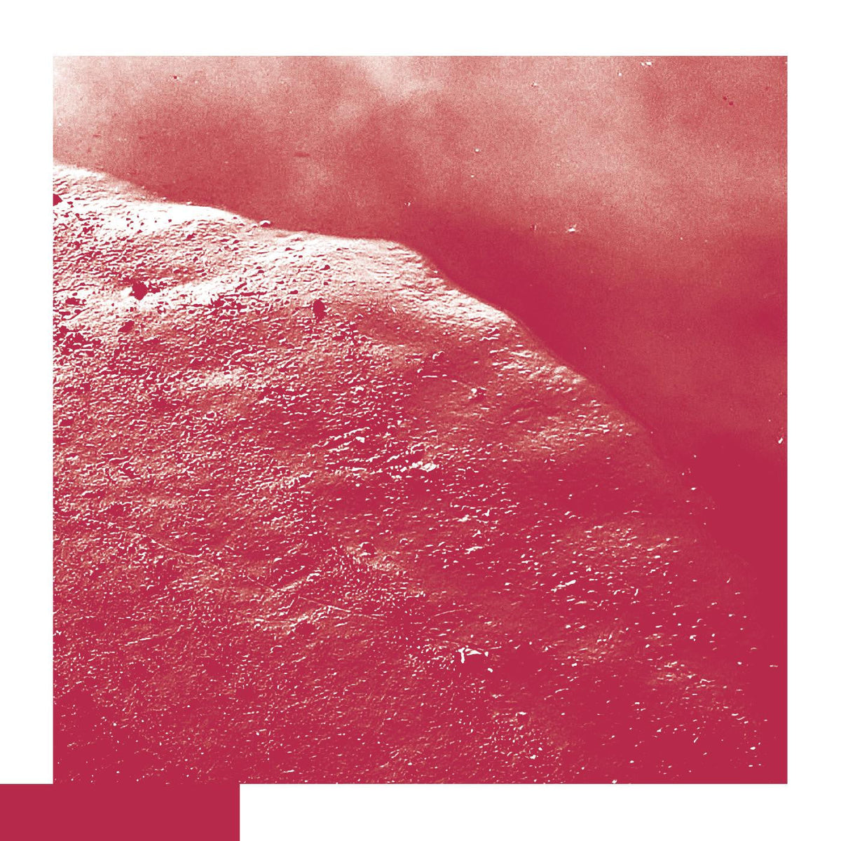Allred, David - The Cell |-Music History