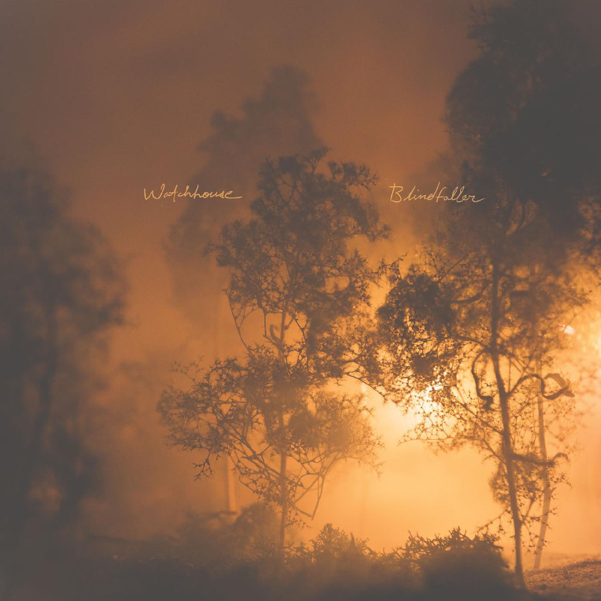 Watchhouse - Blindfaller (CD) |-Music History