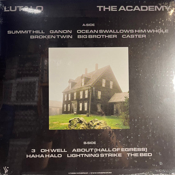 Lutalo - The Academy | Mint (M) Mint (M)-Music History