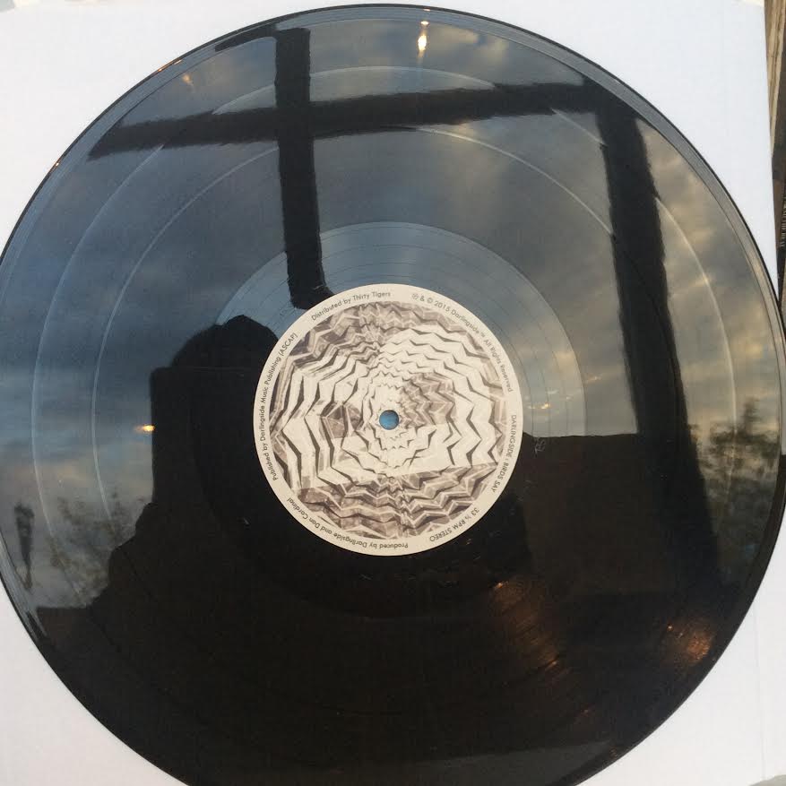 Darlingside - Birds Say (2xVINYL) | Near Mint (NM) Near Mint (NM)-Music History