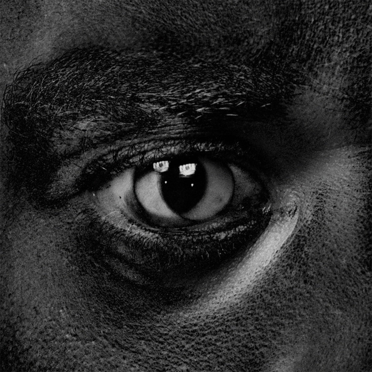 Wiley - Evolve Or Be Extinct (CD) |-Music History