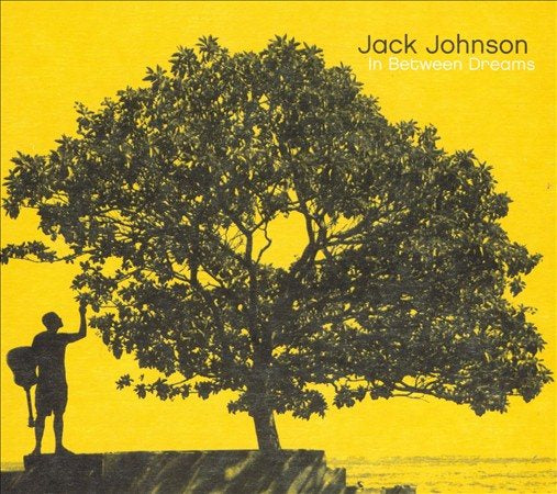 Jack Johnson - In Between Dreams (VINYL LP) | NEW Mint (M) Mint (M)-Music History