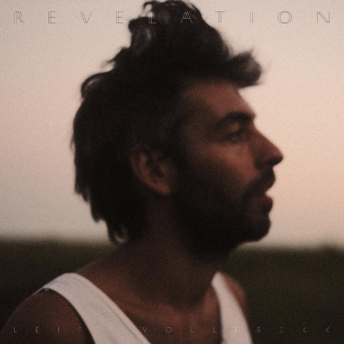 Leif Vollebekk - Revelation (CD) | Mint (M) Mint (M)-Music History