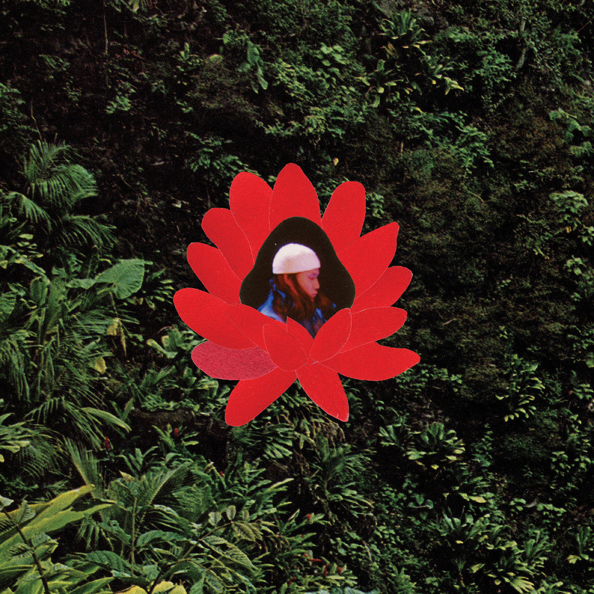 Lionmilk - When The Flowers Bloom (VINYL) | Mint (M) Mint (M)-Music History