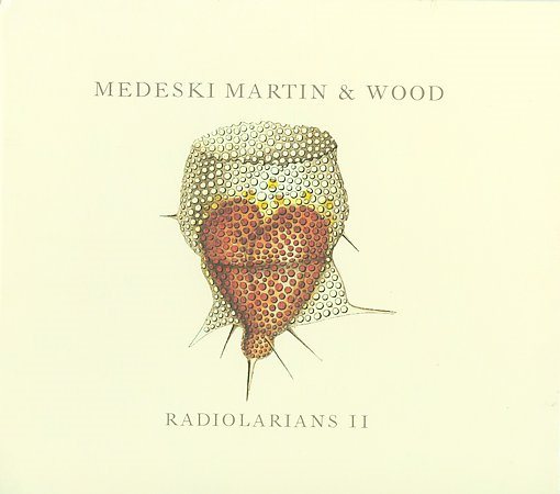Martin Medeski - Radiolarians Ii |-Music History