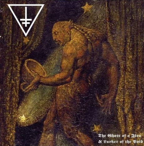 Drowning The Light - The Ghost Of A Flea & Lurker Of The Void (VINYL) | Near Mint (NM) Near Mint (NM)-Music History