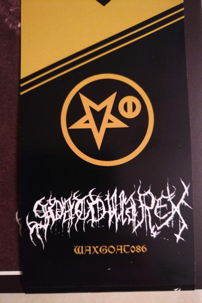 Carelian Satanist Madness (Instrumental Raw Mix) (*NO OBI* VINYL) | Near Mint (NM) Near Mint (NM)-Music History