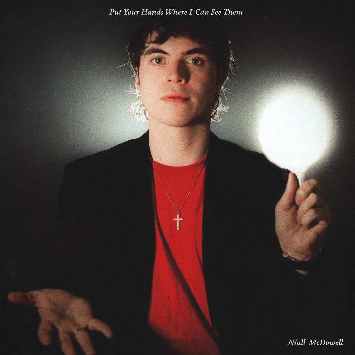 Niall Mcdowell - Put Your Hands Where I Can See Them (VINYL) | Mint (M) Mint (M)-Music History