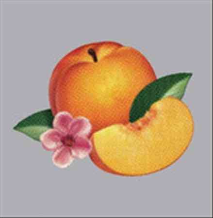 Phoenix - BANKRUPT! (VINYL LP Glassnote GLS-0140-01) | NEW-Music History