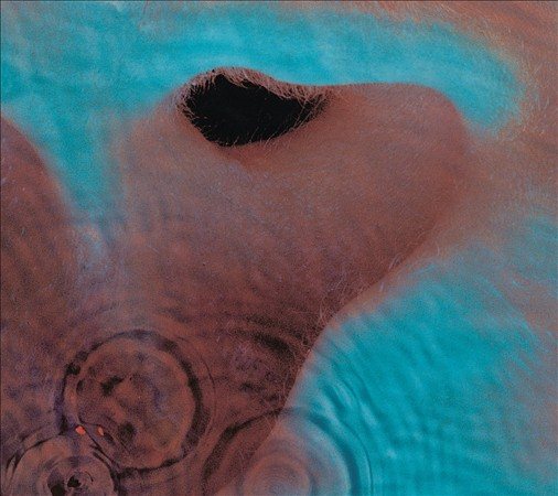 Pink Floyd - Meddle (Remastered CD) | Mint (M) Mint (M)-Music History