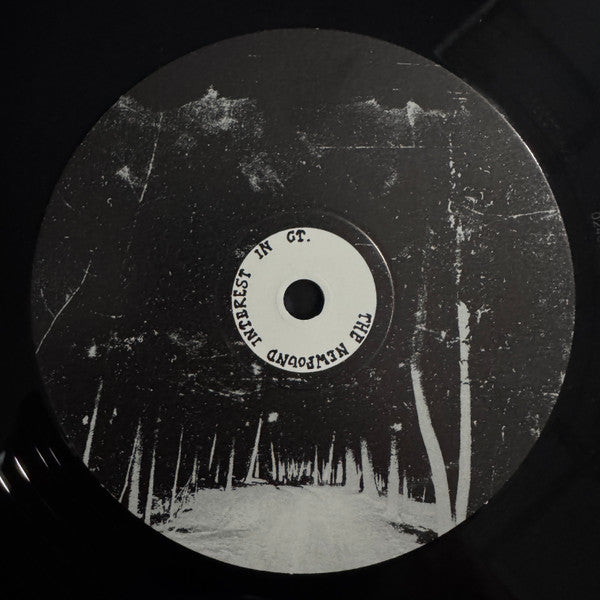 The Newfound Interest In Connecticut - Tell Me About The Long Dark Path Home (2xVINYL) | Mint (M) Mint (M)-Music History