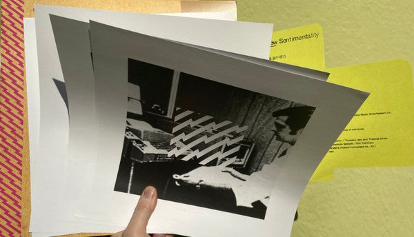 New Sentimentality (CARDBOARD SMEAR VINYL) | Mint (M) Mint (M)-Music History