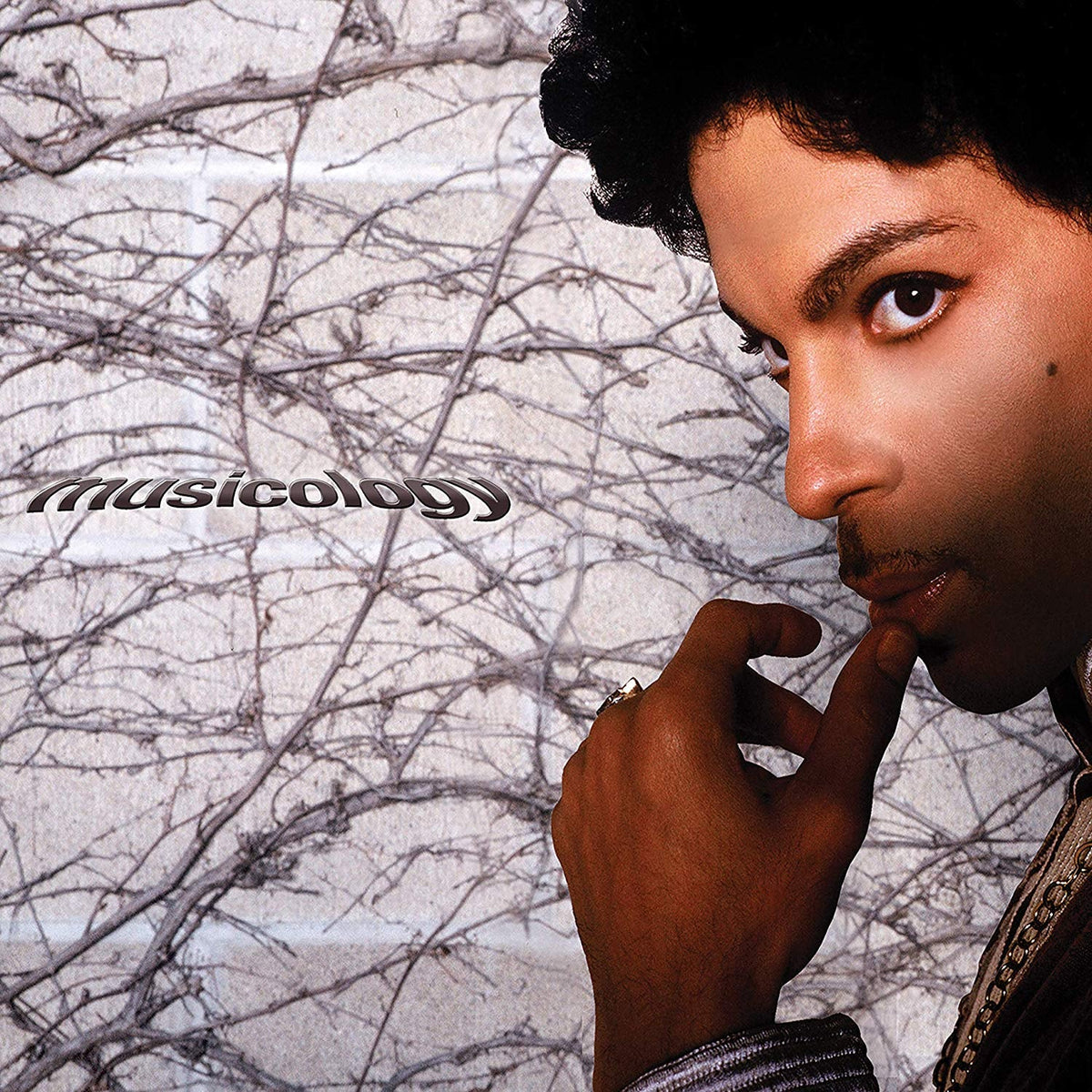 Prince - Musicology (2 LP, Purple) | Mint (M) Mint (M)-Music History