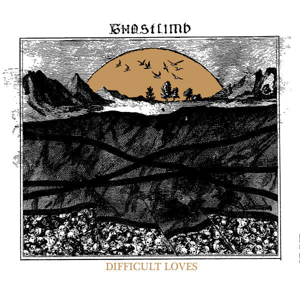Ghostlimb - Difficult Loves (VINYL) | Near Mint (NM or M-)-Music History