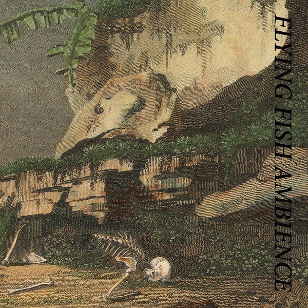 RAINFOREST SPIRITUAL ENSLAVEMENT - Flying Fish Ambience |-Music History