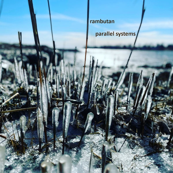 RAMBUTAN - Parallel Systems |-Music History