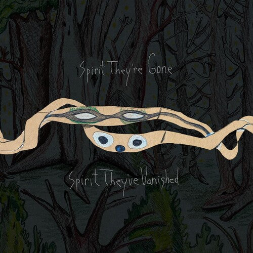 Animal Collective - Spirit They're Gone, Spirit They've Vanished (Indie Exclusive, Colored Vinyl, Green, Remastered, Digital Download Card) | Mint (M) Mint (M)-Music History