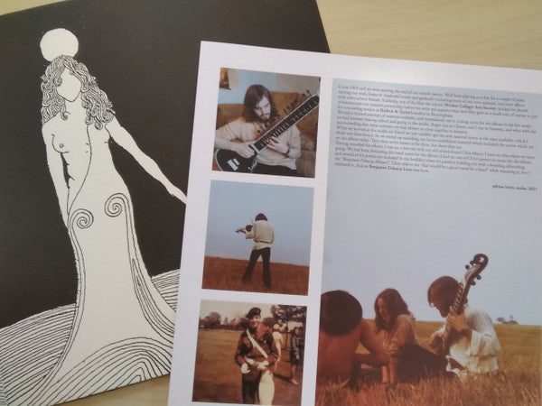 The Benjamin Delaney Lion - Satori (VINYL) | Mint (M) Mint (M)-Music History