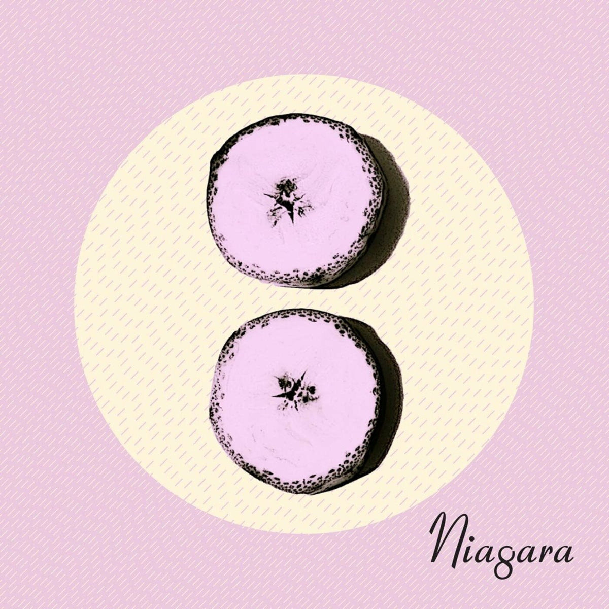 Niagara - Otto (CD) |-Music History