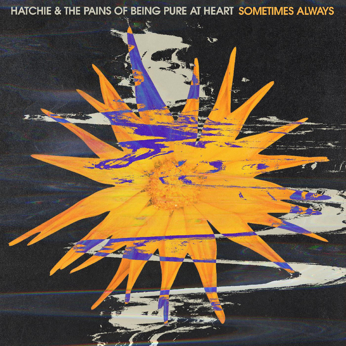 Hatchie & Pains Of Being Pure At Heart - Sometimes Always b/w Adored (INDIE EXCLUSIVE, PURPLE VINYL) |-Music History