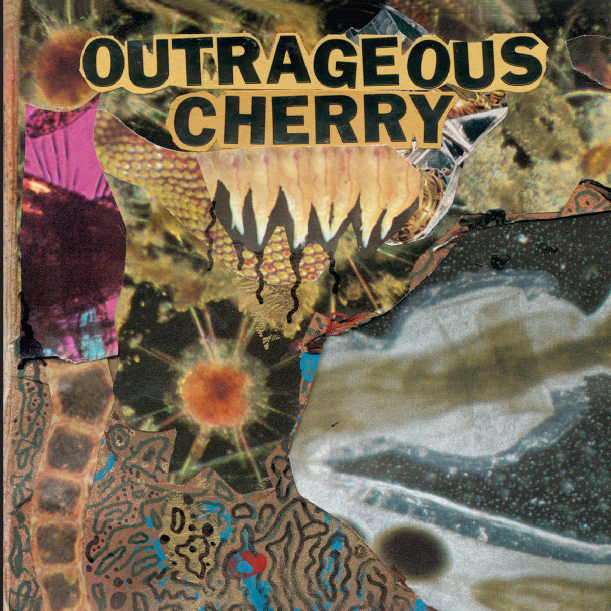 Outrageous Cherry - Universal Malcontents (CD) |-Music History