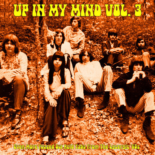 Various Artists - (PRESALE 6/5/26) Up In My Mind Vol. 3: Even More Fuzzed Out Acid Tabs... (VINYL) | Mint (M) Mint (M)-Music History