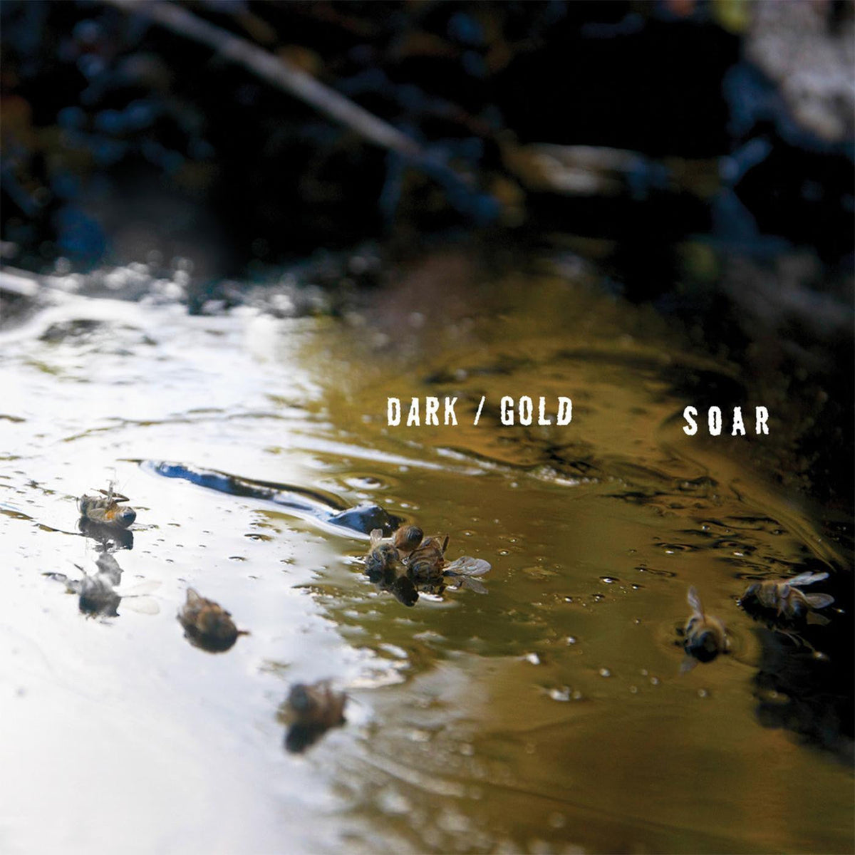 SOAR - dark / gold |-Music History