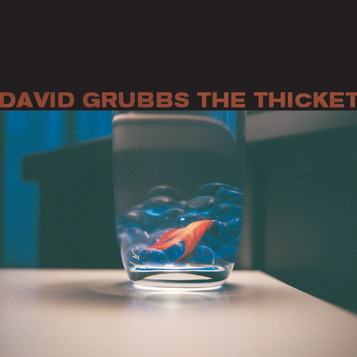 Grubbs, David - The Thicket (CD) |-Music History