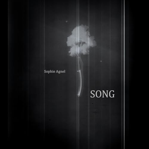 Sophie Agnel - Song |-Music History