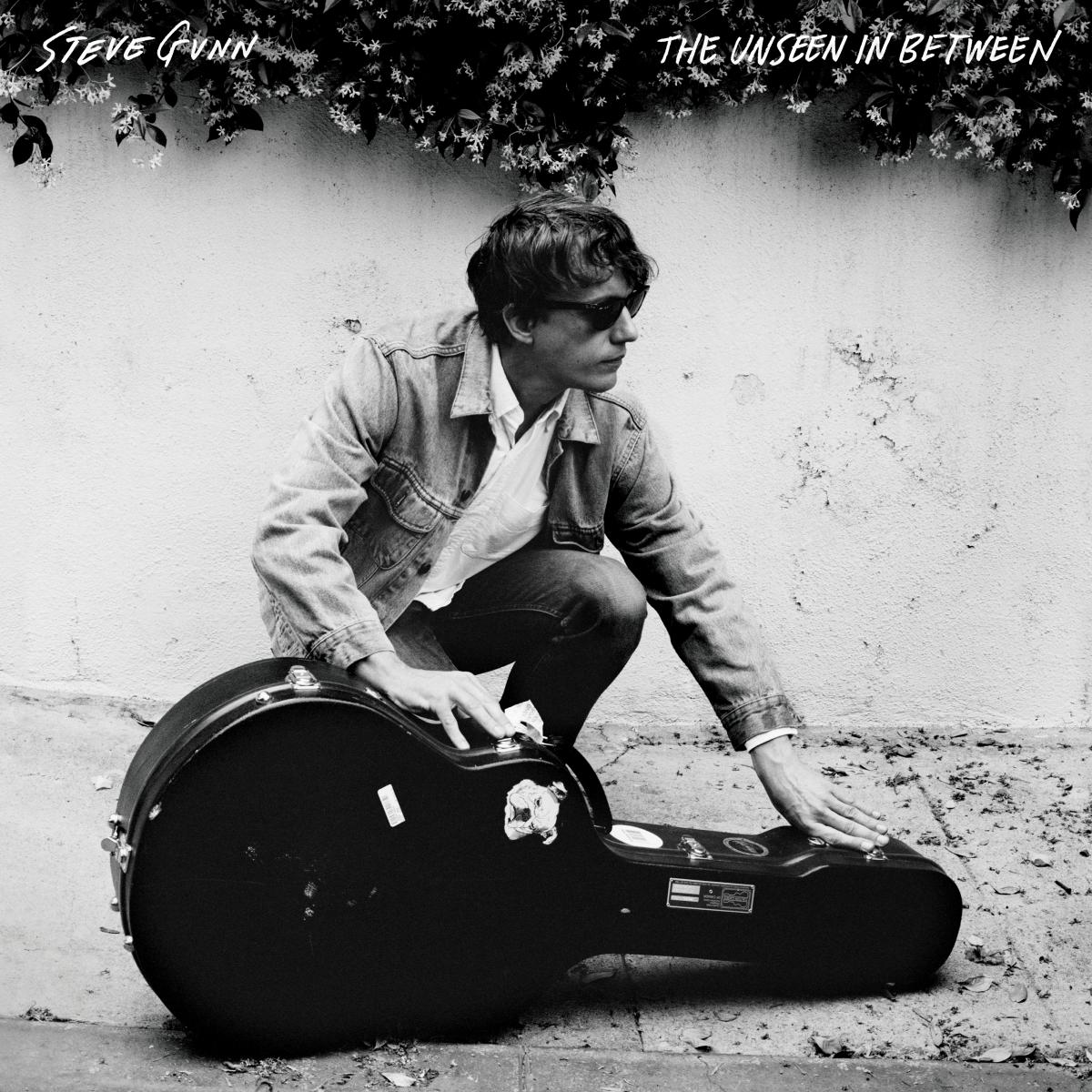 Steve Gunn - The Unseen In Between (VINYL) | Mint (M) Mint (M)-Music History