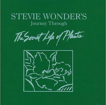 Stevie Wonder - Journey Through The Secret Life Of Plants (2LP 180g Vinyl) | Mint (M) Mint (M)-Music History